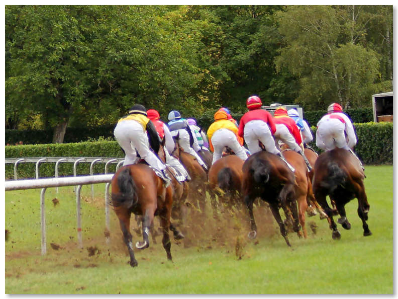 Courses de chevaux au cours local