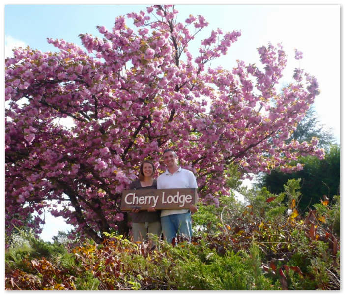 Cherry Blossom Tree with the Apartment Owners